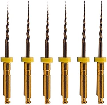 Easyinsmile X-Pro Gold Protaper NITI Rotary Files, 6PCS Endo Controlled Memory Files (SX 19MM)