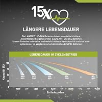 LANGZEIT LiFePO4 100Ah 12V Mini Lithium Batterie Wohnmobil Solarbatterie – Ansicht 6