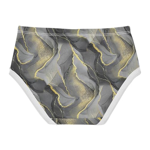 Joisal Chic Gray Gold Toddler Girls Underwear 2t Cotton Panties for Girl Artistic Underpants Briefs2