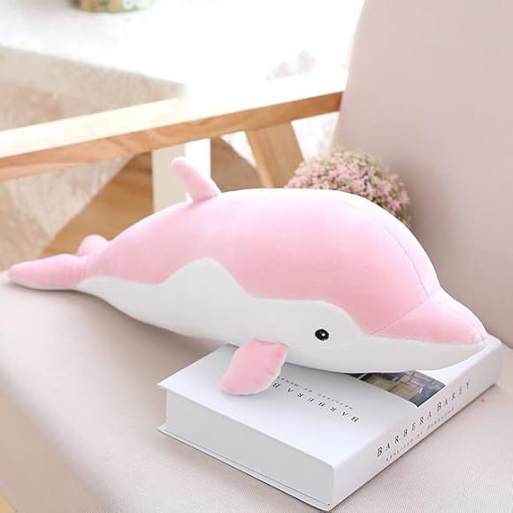 dolphin teddy