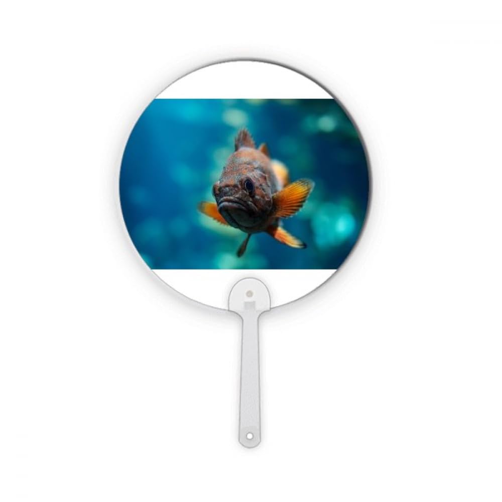 Poisson tropical en plastique de forme ronde pour loisirs créatifs durables