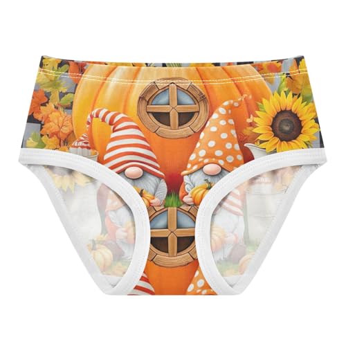 Aesthetic Girls Underwear Toddlers 2t Cotton Girl Panties Cute Cute Autumn Pumpkin Gnomes Kids Briefs Undies