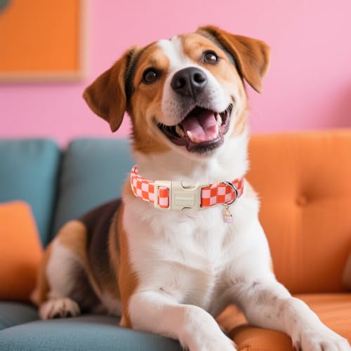 DOGWONG Hundehalsband, Hunde Halsband für Kleine Mittlere und Große Hundes, Komfort Gemustertes Hundehalsbänder Verstellbares, Rosa Plaid Hunde Kragen