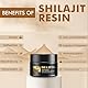 Shilajit Harz 100% Rein – Himalaya Shilajit mit 75% Fulvinsäure & 85+ Mineralien – Natürliche Energie, Fokus & Immunsystem – 50g Original-Resina