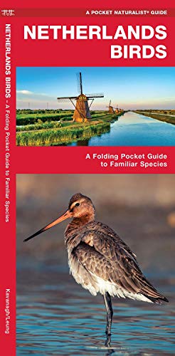 Netherlands Birds: A Folding Pocket Guide to Familiar Species (Nature Observation International)