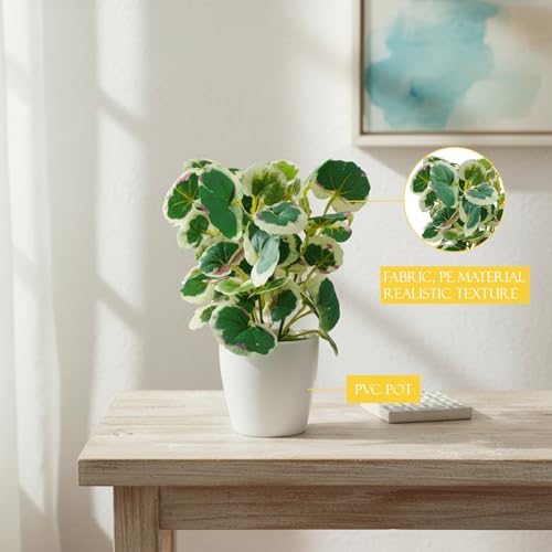 Image of KARP Artificial Potted Plants, Begonia Flower Plant with White Pot Home Decor, Plants for Living Room, Office Desk & Bathroom, Decorative (Small-Plant-6)
