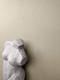DIMENSIONS:10,05 x 0,53 m - 0/0 cm (Sans Raccord)