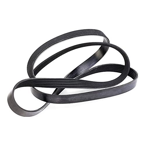 DAYCO 6PK1936 Cinghia Poly-V