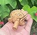 Vintage 2.75 Inch Thai Guiros Percussion Instruments Wooden Frog, Wooden Frog Musical Instrument Home Decor Handcrafted Decoration (Vintage 2.75