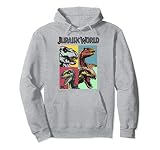 19JWOT00014A-001 Jurassic World: Fallen Kingdom Dinosaur Pop Art Box Up Sudadera con Capucha