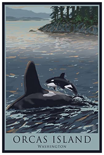 Orcas Island Washington Baby Orca Jumping Forest Giclee Art Print Poster from Illustration by Artist Mike Rangner 12" x 18"