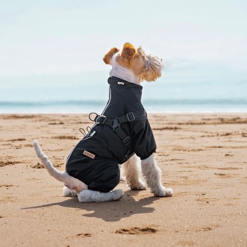PAWBOSE Hunderegenmantel mit Geschirr für kleine und mittlere Hunde, verstellbare wasserdichte Hunderegenjacke, reflektierender regenfester Welpe 4 Beine Regenmantel Schwarz, L