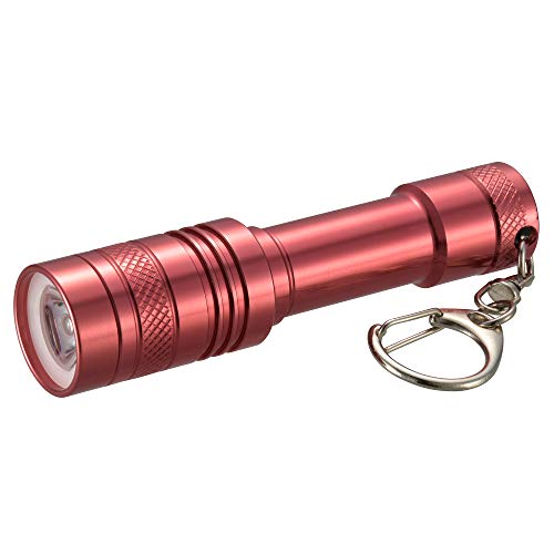 オーム電機 LEDミニライト レッド キーホルダー付 LH-MY41-R 08-0439