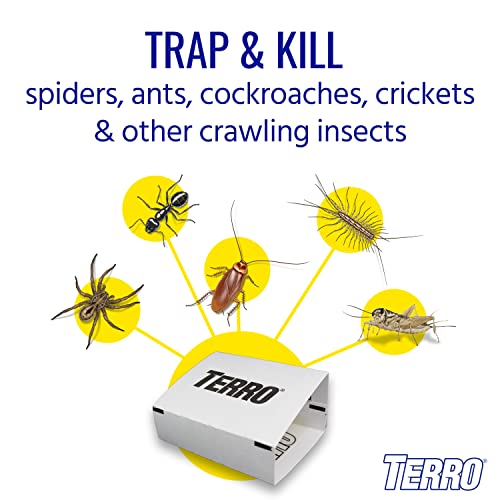 TERRO T3206SR Non-Toxic Indoor Spider, Ant, Cockroach, Centipede, & Insect Traps - Includes 12 Bug Traps Indoor for Homes - image 2