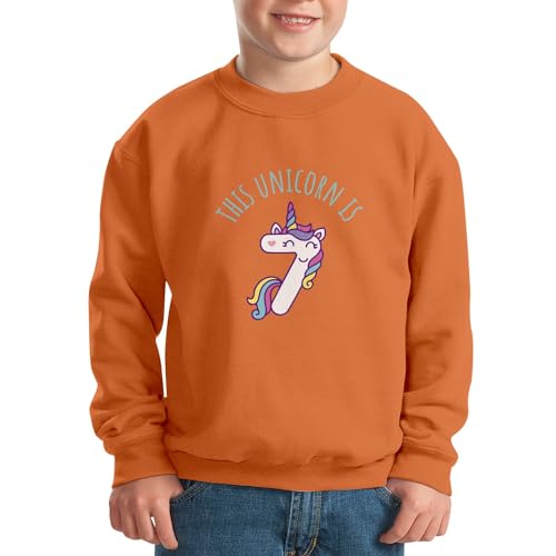 Sweat licorne 7 ans pull anniversaire enfant cadeau magique