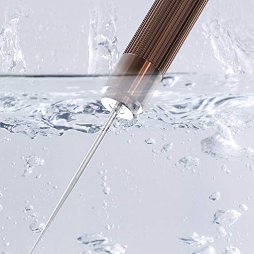Healifty Escareador dental portátil de aço inoxidável, limpador de palitos de tártaro com garrafa de