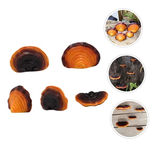 Ornements simulés de Ganoderma Lucidum pour égayer un parterre de fleurs - 6