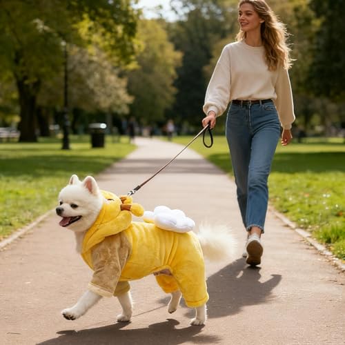 Sudadera para perro que evita el frío en casa y paseos de razas pequeñas 3