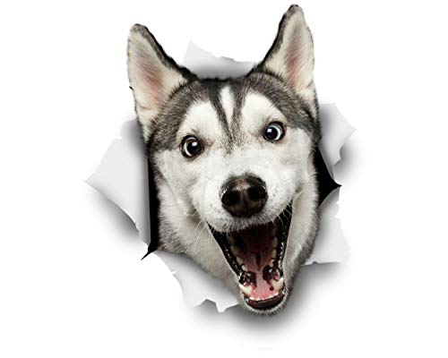 Winston & Bear 3D Dog Stickers - 2 Pack - Happy Husky for Wall, Fridge, Toilet and More - Retail Packaged Husky Wall Decals
