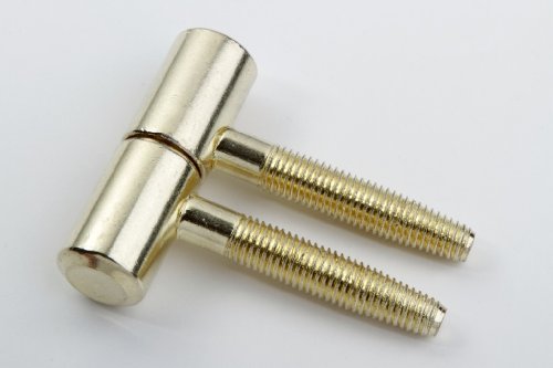 2 x cerniera a bussola, cerniera a vite, bandella per porta, metallo ottonato, 16 mm