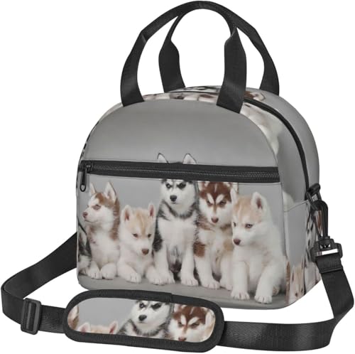 `obO ٓ nXL[  킢 V_[obO g[gobN ` e ٓ P[X ٓ h  ٓ 񂰁| V_[Xgbv\ ȃ`N[[obO sNjbNnCLOp