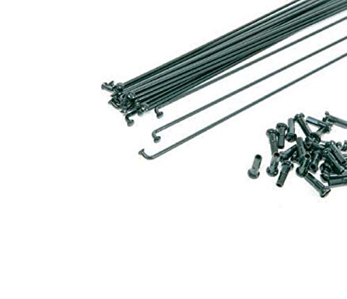 Rayon neri importation Cicli Bonin mixte pour roue de vélo