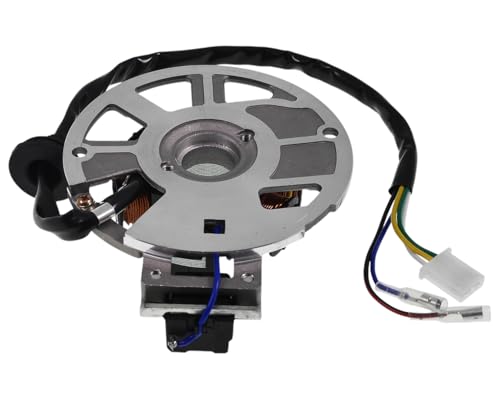 2EXTREME Lichtmaschine Version 1 kompatibel für ATU, Explorer Race GT 50 B92, KEEWAY RY6, TAURIS Samba 2-Takter JL50QT-51, SACHS Speedjet, Speedjet R, KREIDLER Galactica 2.0 DD, LIFAN S-Ray 50ccm