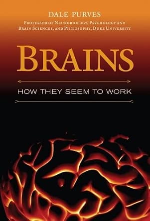 Brains: How They Seem to Work book cover