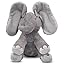 Grey Elephant