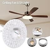 Zoom IMG-2 garosa kit luce led da Zoom IMG-2 garosa kit luce led da