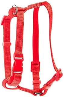 great choice harness