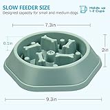 UPSKY Slow Feeder Dog Puzzle Bowl - Anti-Chocking, Interactive, Bloat Stop, Non-Slide, Lick Treat Bowl for Small & Medium Dogs (Green)