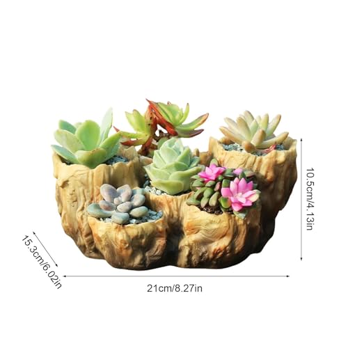 Pot de fleurs pour succulentes minimaliste et géométrique beige - 4