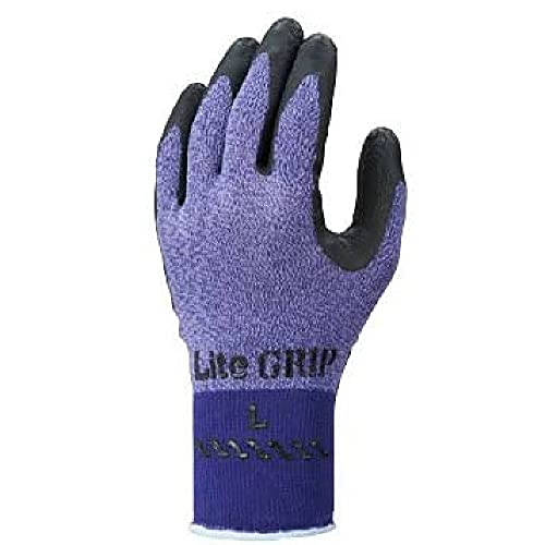 CgObvi^Otjp[vi10oj MTCY No.341 [V[O[u] OJD