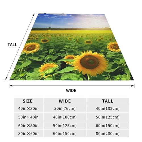 Couverture micro polaire douce pour nuits sereines sans sueur - 5