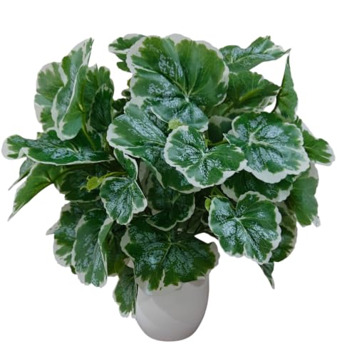 Image of Natural Looking Artificial Money Plant /Tree with Pot | Ornamental Plant for Interior Decor | Home /Shop /Office Decor (Green-White-Circle)
