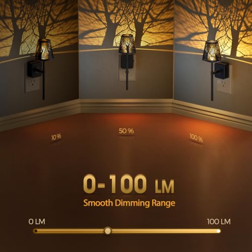 Image of Briignite Plug in Night Light Dimmable Metal Crafted Night Light 3000K Warm