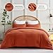 CozyLux Terracotta Queen Comforter Set, 3 Pieces Burnt Orange Rust Solid Breathable Quilted Bedding Sets, Luxury Fluffy Soft Bed Set with Down Alternative Comforter and 2 Pillowcases for All Season