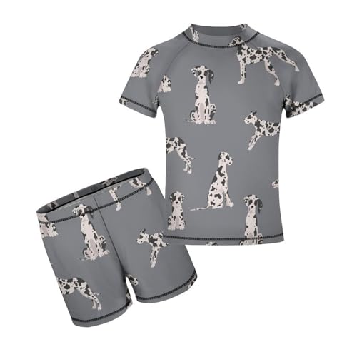 Great Dane Color DogChildren's Swimsuits Boys Two Piece Suit9-11Y（140cm）