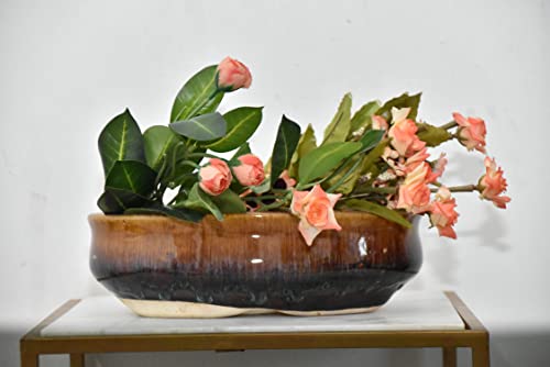 Image of Niyara Stylish Shiny Bonsai Ceramic Pots Planters for Indoor Plants, Succulent, Outdoor, Balcony, Home, Garden, Office Shape- Oval Brown (Bonsai Set of 1)