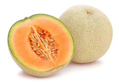Cantaloupemelone (1 Stk)