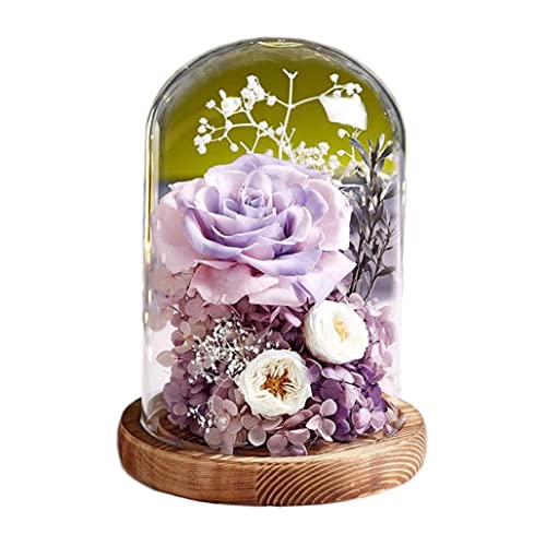 vU[uht[ KN KXh[ hCt[ o ͂Ȃ t[Mtg v[g Mtg{bNX 񂰑 bZ[WJ[h T[rX P[X ỉ LEDCgt NX}X N j JXj ̓ LO