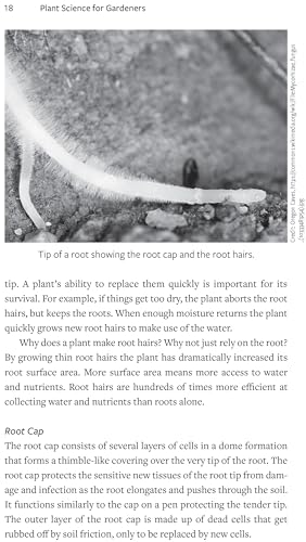 Plant Science for Gardeners: Essentials for Growing Better Plants (Garden Science Series, 2) - Image 5