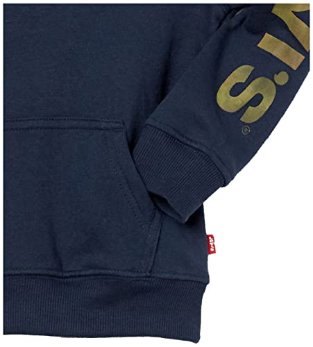 Image of Levi's Graphic Pullover Hoodie