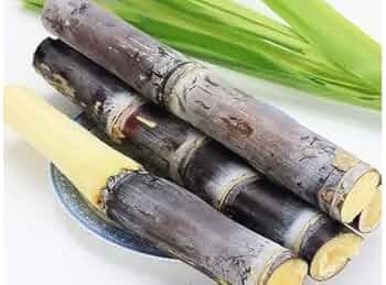 中国南部産サトウキビ　　さとうきび　甘蔗 10kg 61DdCHoMuBL._UF350,350_QL80_.jpg