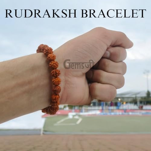Image of Original Certified 5 Mukhi Rudraksha Bracelet With Certificate | AAA Grade | Five Faced Rudraksh Braselet With Lab certificate | Panchmukhi Rudraksha Bracelet For Men Women