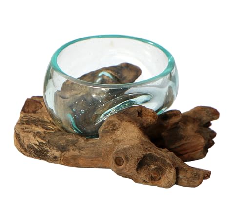 Wogeka Glas-Schale Ø 7–8 cm auf Wurzelholz – handgefertigte...