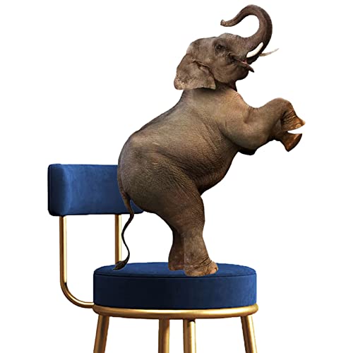 Tabouret de bar velours stable avec dossier ergonomique de café - 7