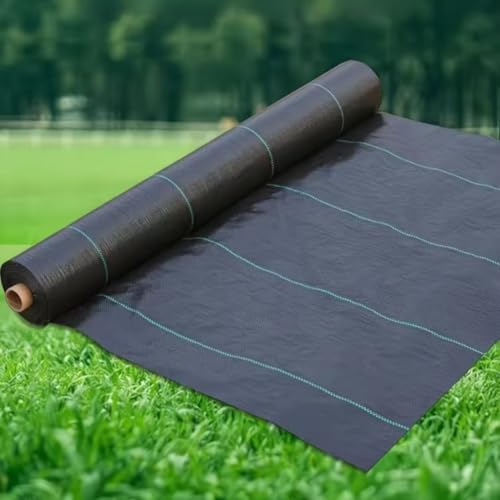 Jireko hV[g _pV[g V[g GV[g 悯V[g G΍ _ |p x  ʋC ۉ ϋv ϕH |vr 0.13mm Jbg₷ @\ nՕی c Ԃ ގ{H K[f