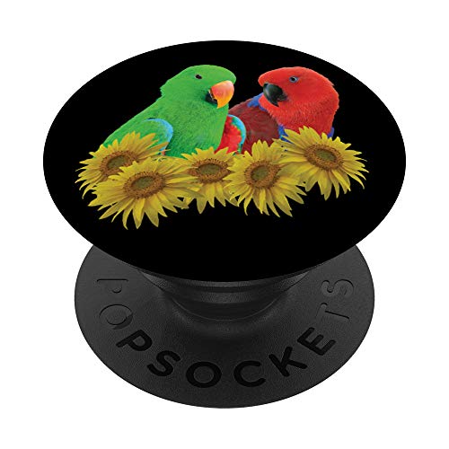 Contiene l'immagine di un pappagallo Eclectus maschio (verde) e femmina (rosso) appollaiato dietro un mazzo di fiori di girasole. Progettato per gli amanti dei pappagalli e per i veterinari aviari.